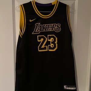 Youth Lebrun James Nike Lakers jersey. Authentic